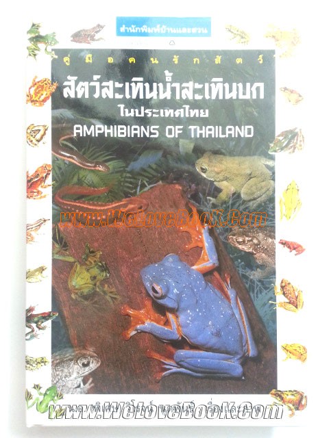 สัตว์สะเทินน้ำสะเทินบกในประเทศไทย