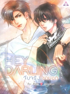 Hey-Darling-จีบจริงขอบอก