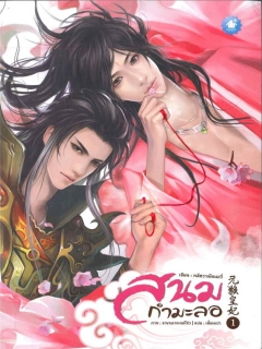 สนมกำมะลอ-เล่ม-1-2-2-เล่มจบ-