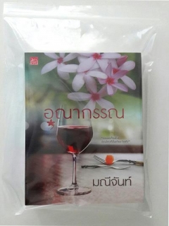 50 ใบ ถุงซิปล็อค ขนาด 8x12 นิ้ว (20*30 cm.)